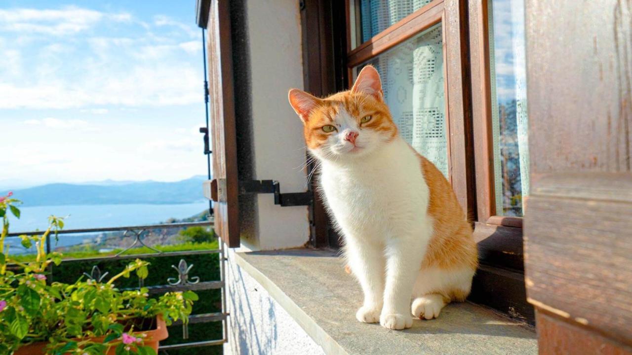 Chrissi Nefeli Appartement Agios Georgios Nilias Buitenkant foto